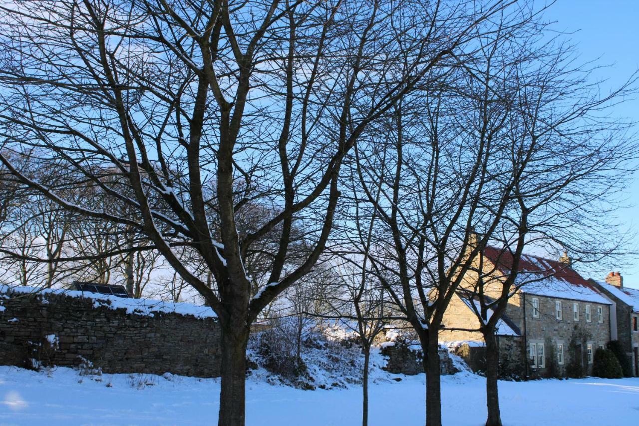 White House Cottages Durham Bagian luar foto